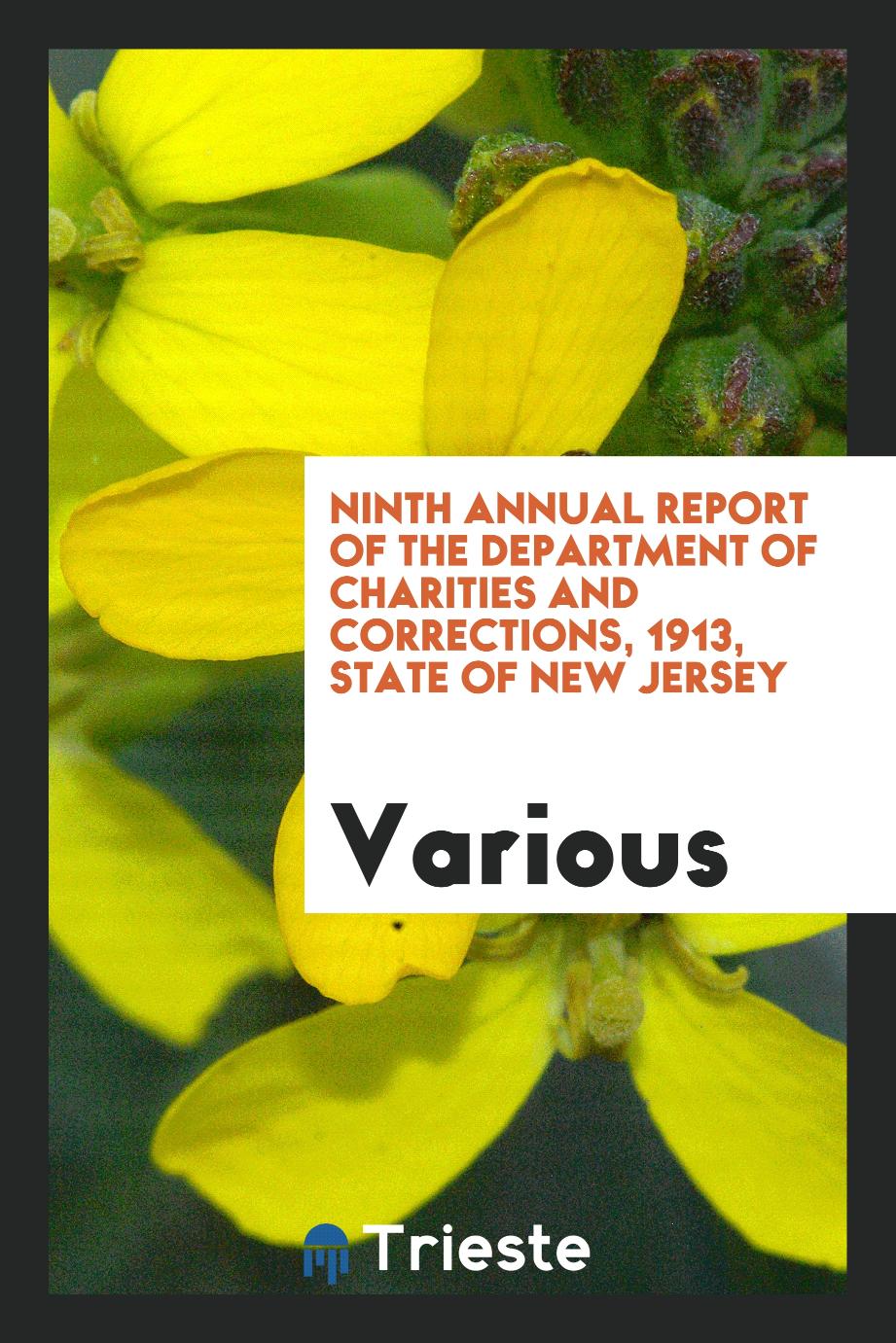 Ninth Annual Report of the department of charities and corrections, 1913, State of New Jersey