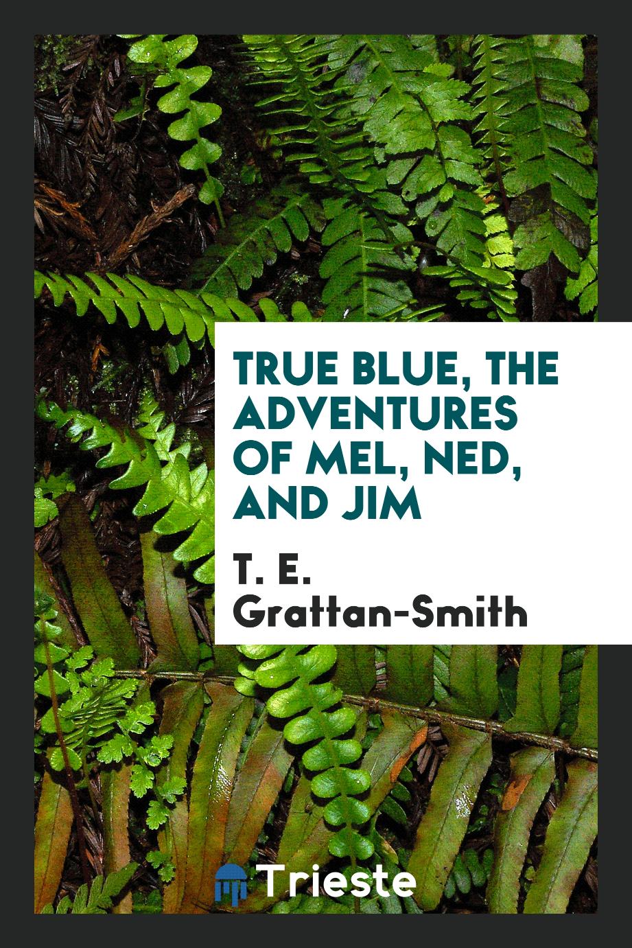True blue, the adventures of Mel, Ned, and Jim