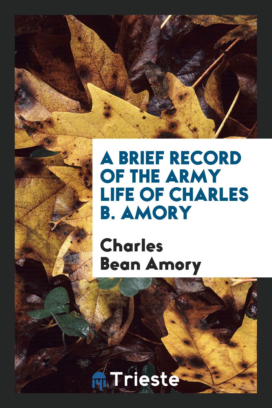 A Brief Record of the Army Life of Charles B. Amory