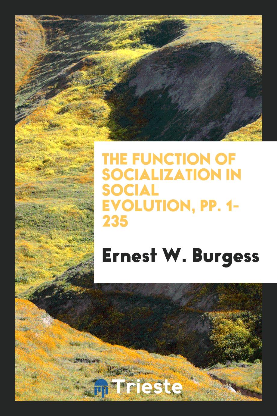 The Function of Socialization in Social Evolution, pp. 1-235