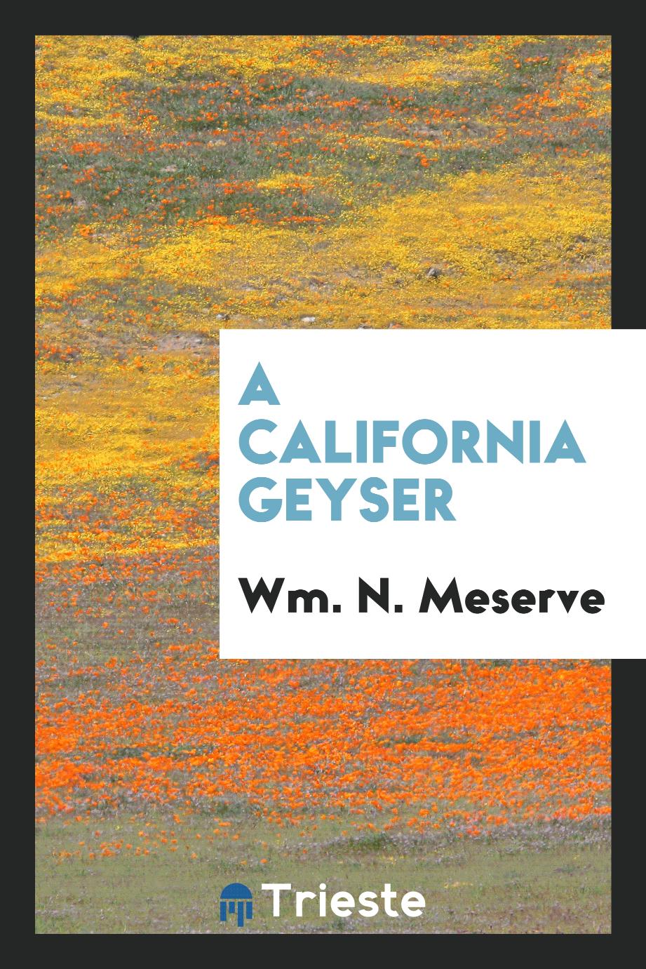 A California geyser