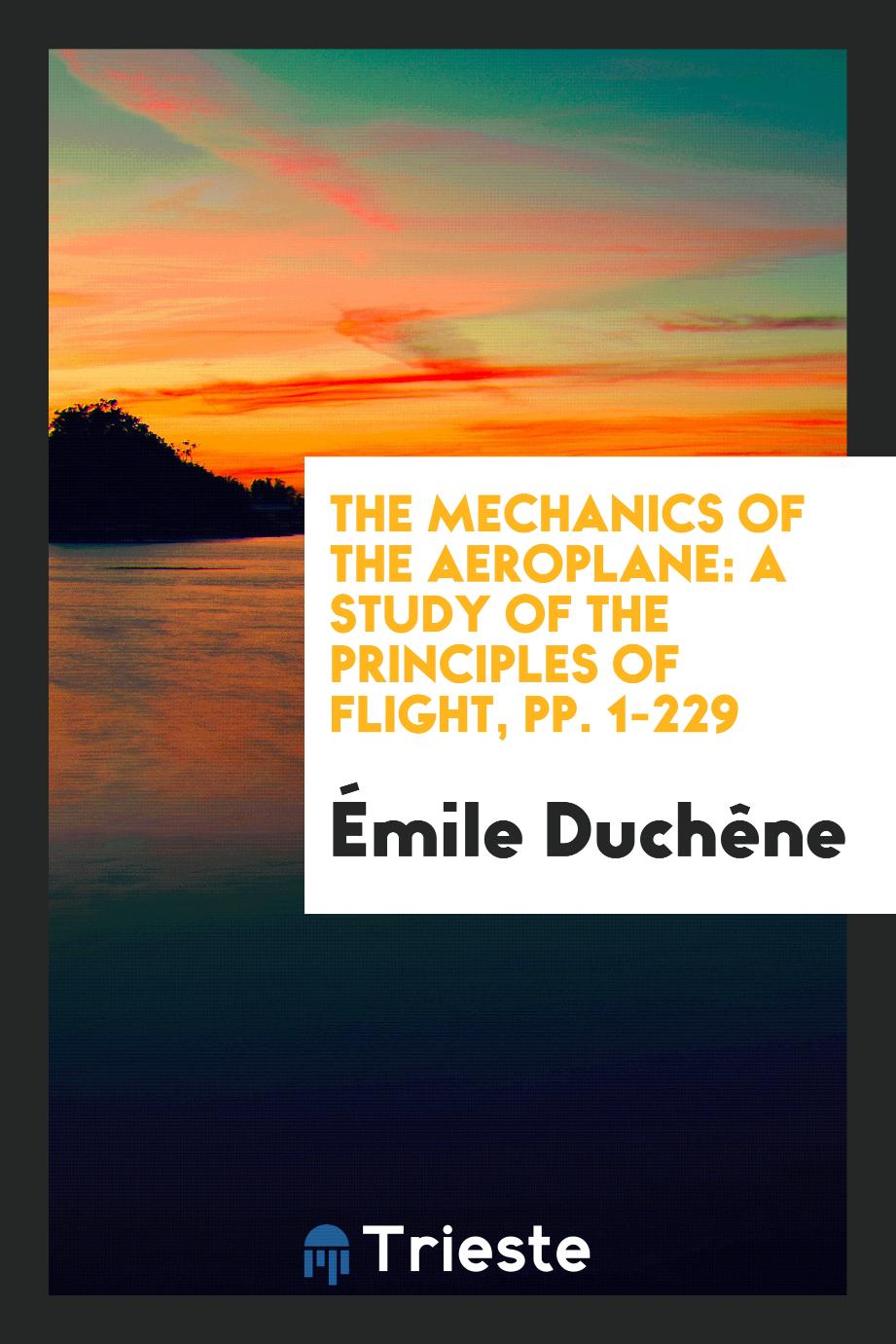 The Mechanics of the Aeroplane: A Study of the Principles of Flight, pp. 1-229