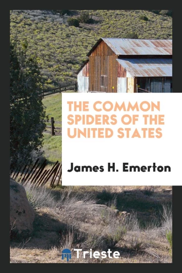 The common spiders of the United States