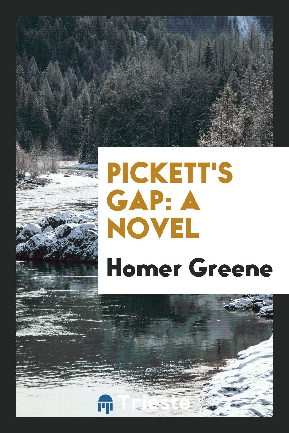 Pickett's Gap: a novel
