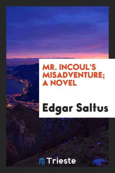 Mr. Incoul's misadventure; a novel