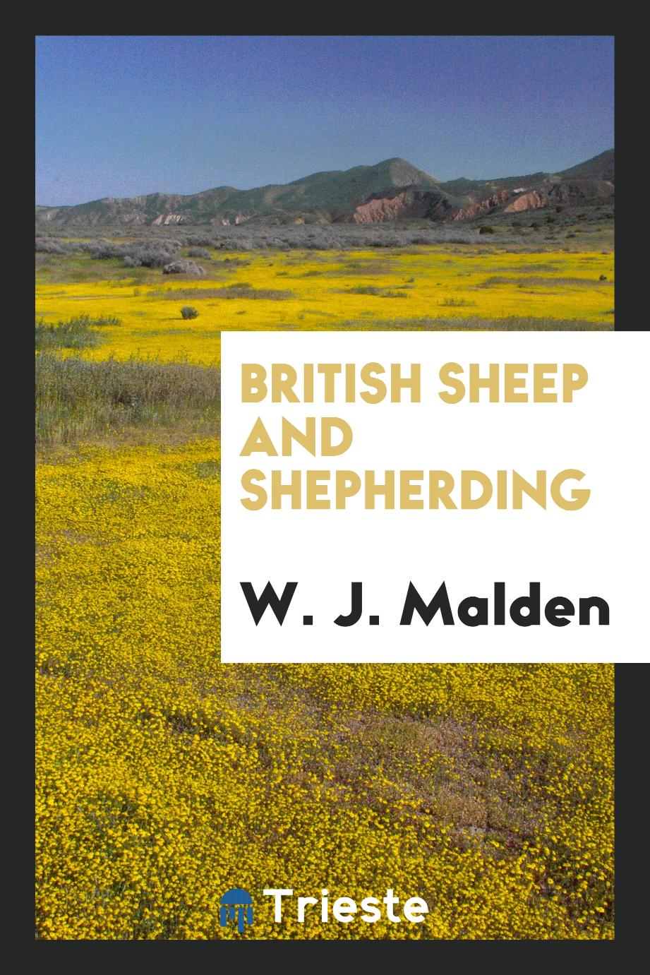 British sheep and shepherding