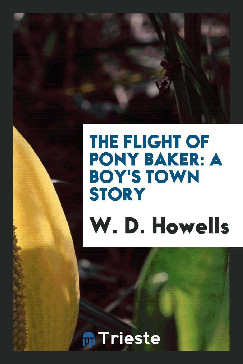 The flight of Pony Baker: a boy's town story