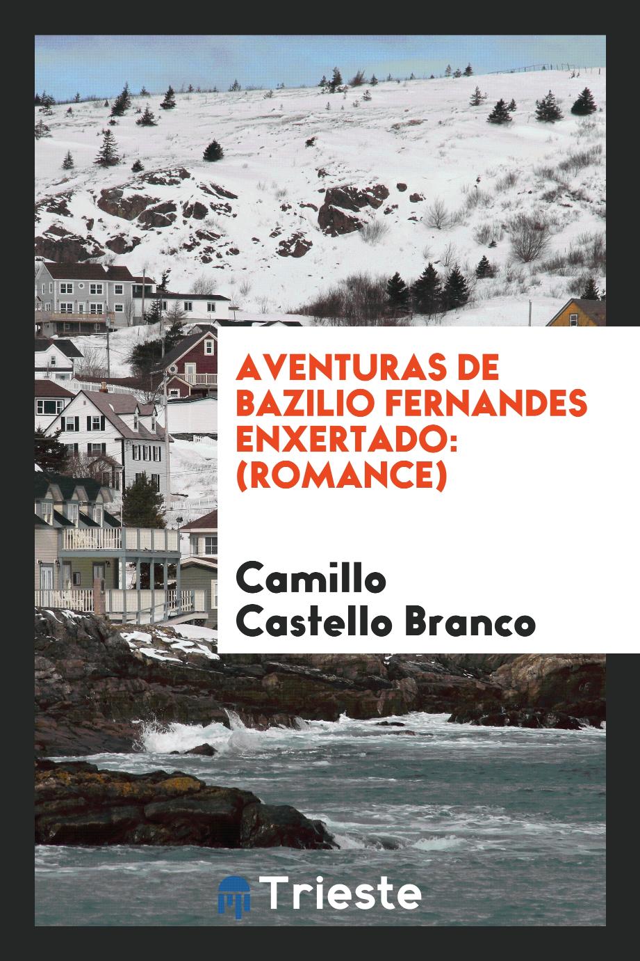 Aventuras de Bazilio Fernandes Enxertado: (romance)