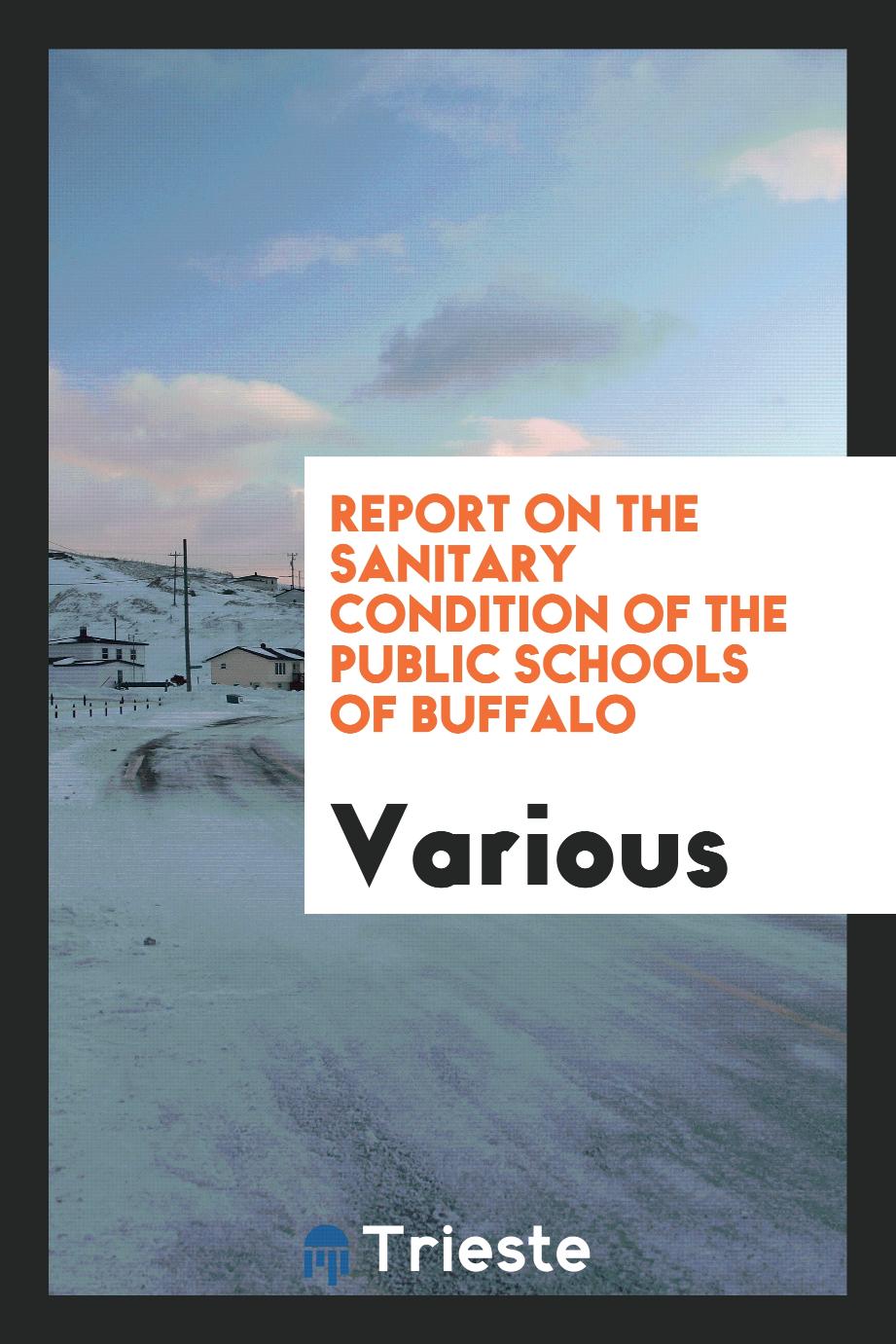 Report on the Sanitary Condition of the Public Schools of Buffalo