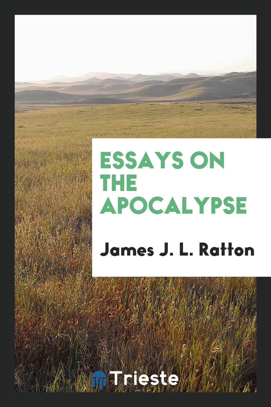 Essays on the Apocalypse
