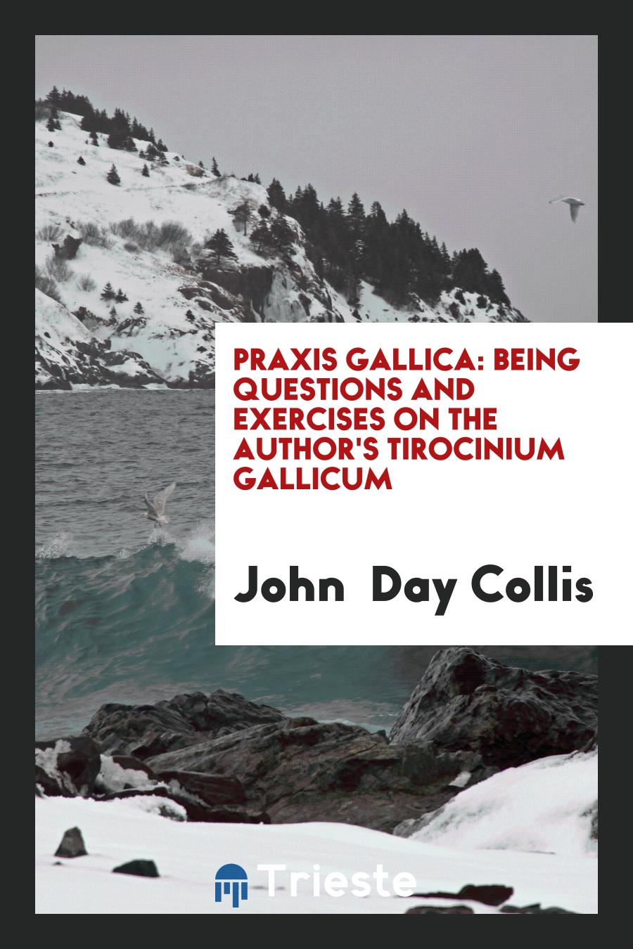 Praxis Gallica: being questions and exercises on the author's Tirocinium Gallicum