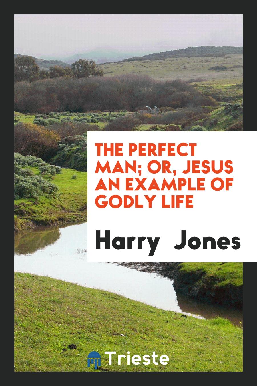 The Perfect Man; Or, Jesus an Example of Godly Life