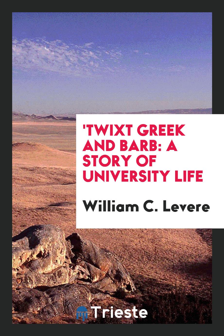 'Twixt Greek and Barb: A Story of University Life