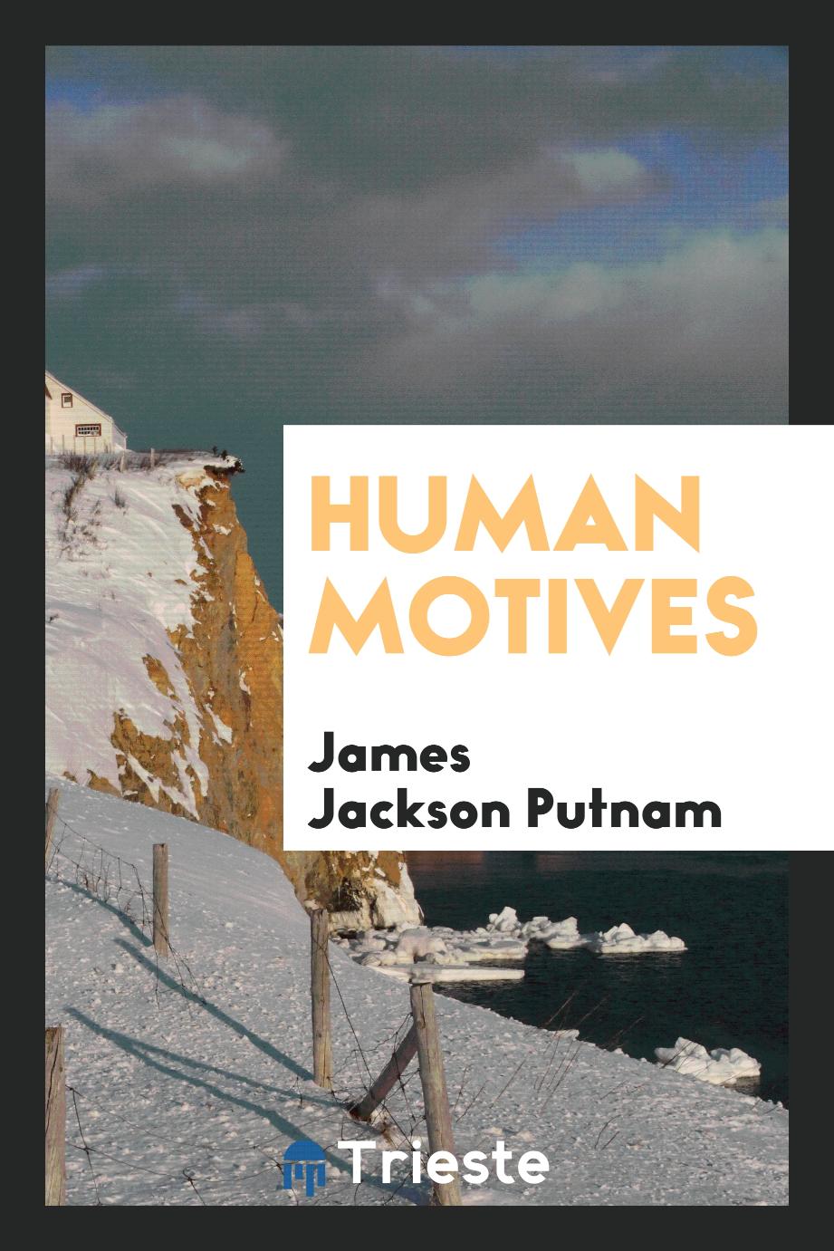 Human motives