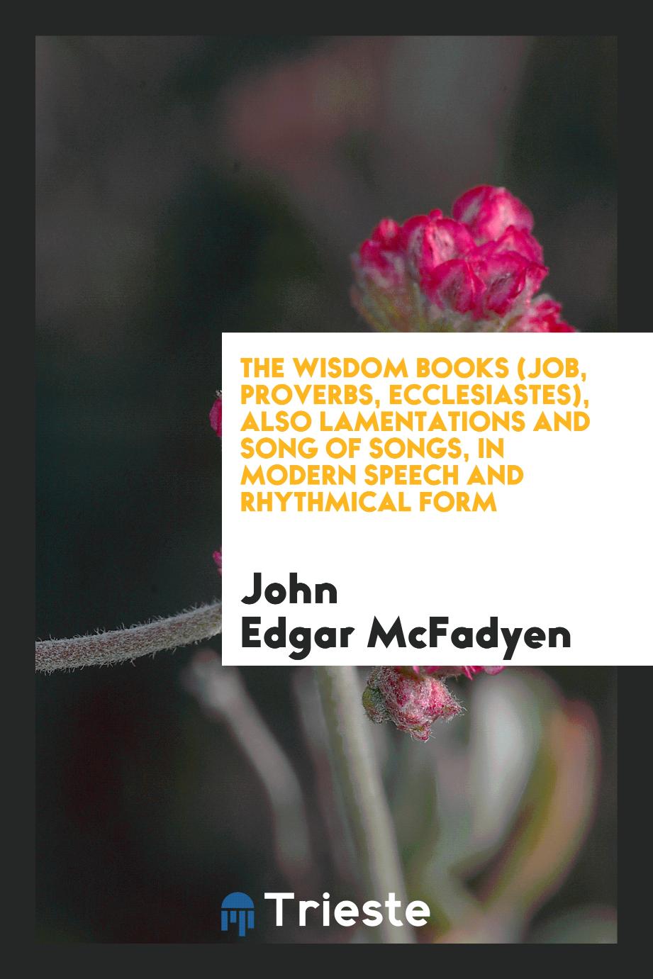 The Wisdom Books (Job, Proverbs, Ecclesiastes), also Lamentations and Song of Songs, in modern speech and rhythmical form