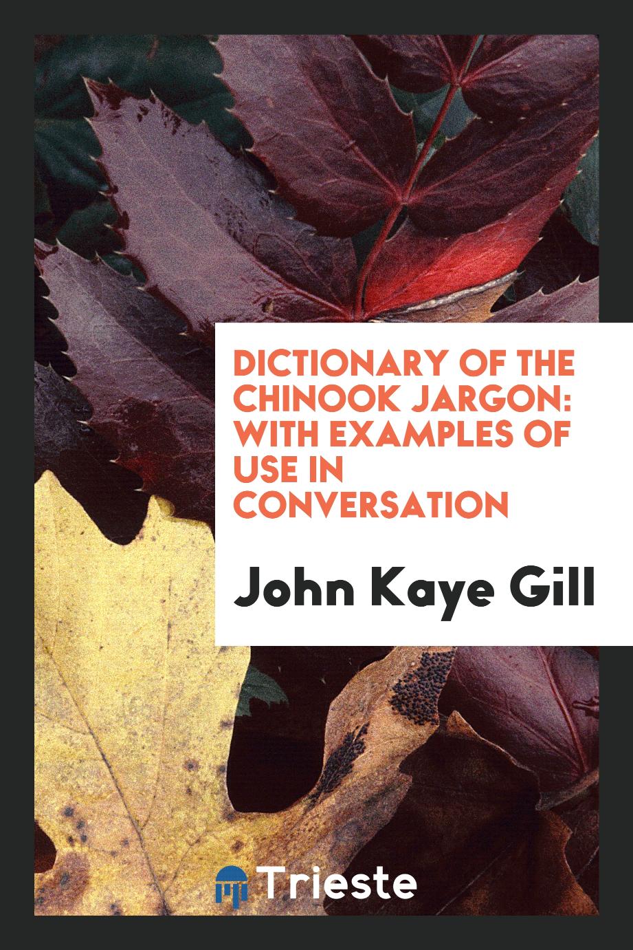 Dictionary of the chinook jargon: with examples of use in conversation