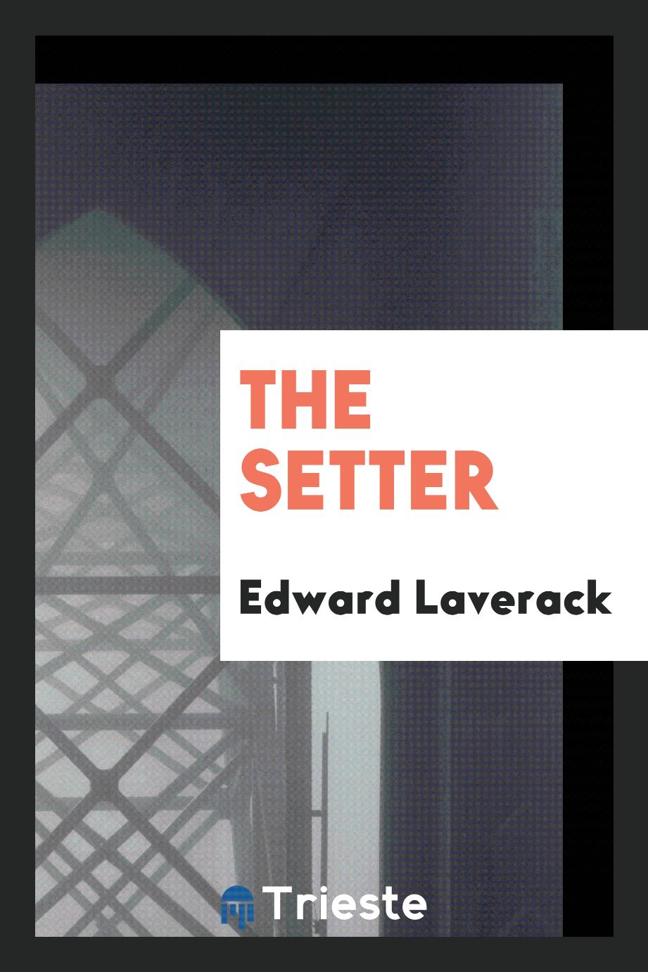 The setter