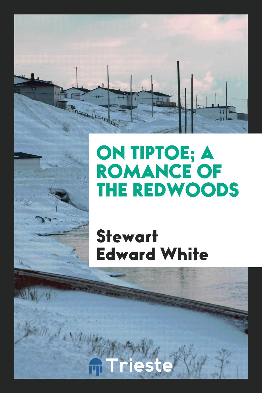 Stewart Edward White - On tiptoe; a romance of the redwoods