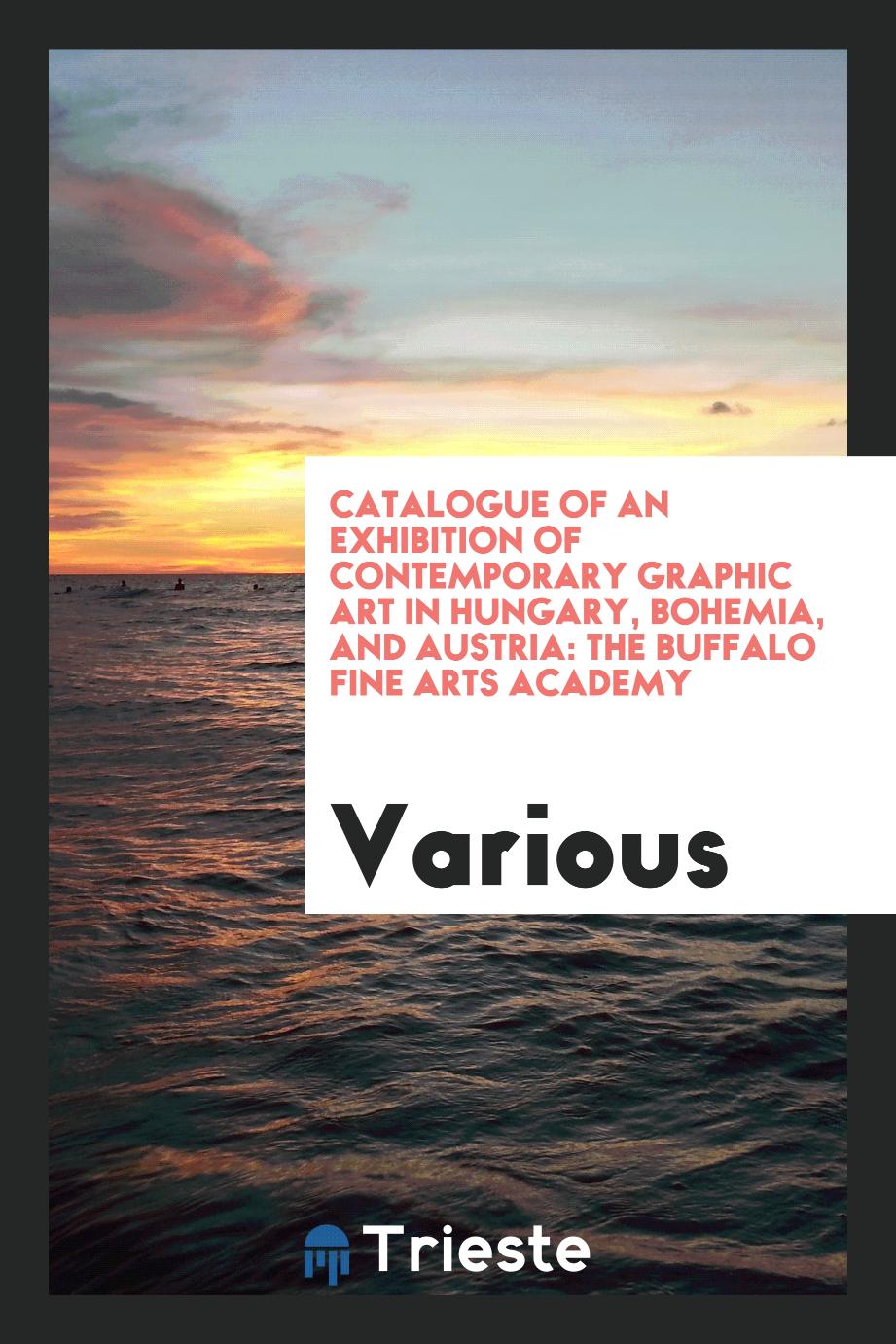 Catalogue Of An Exhibition Of Contemporary Graphic Art In Hungary, Bohemia, And Austria: The Buffalo Fine Arts Academy