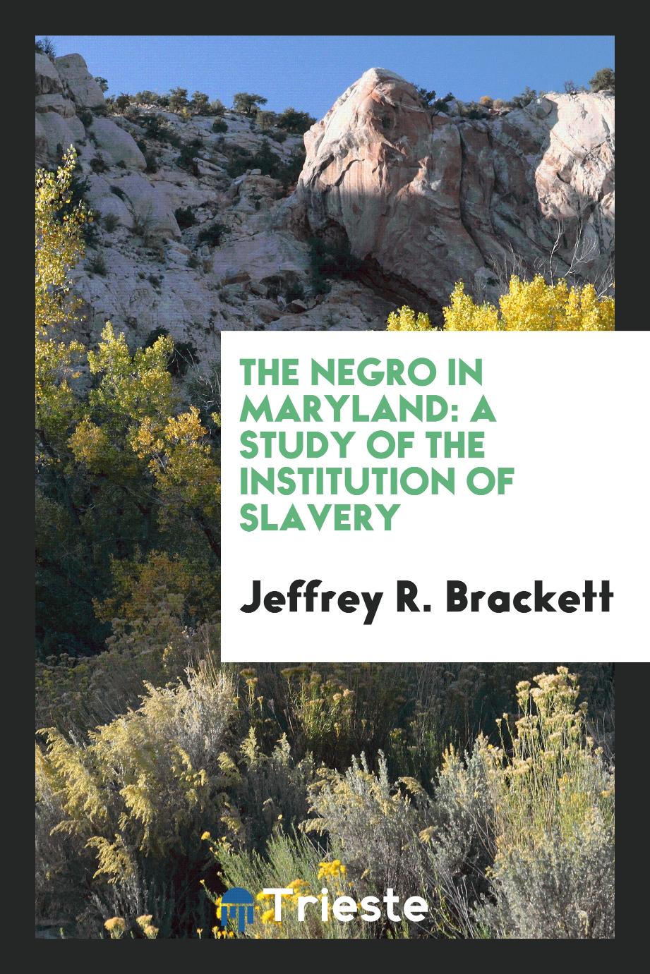 The Negro in Maryland: a study of the institution of slavery