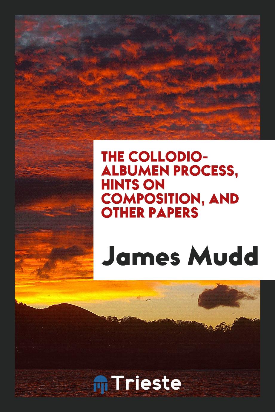 The collodio-albumen process, hints on composition, and other papers