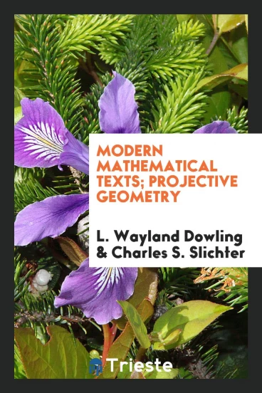 Modern Mathematical Texts; Projective Geometry