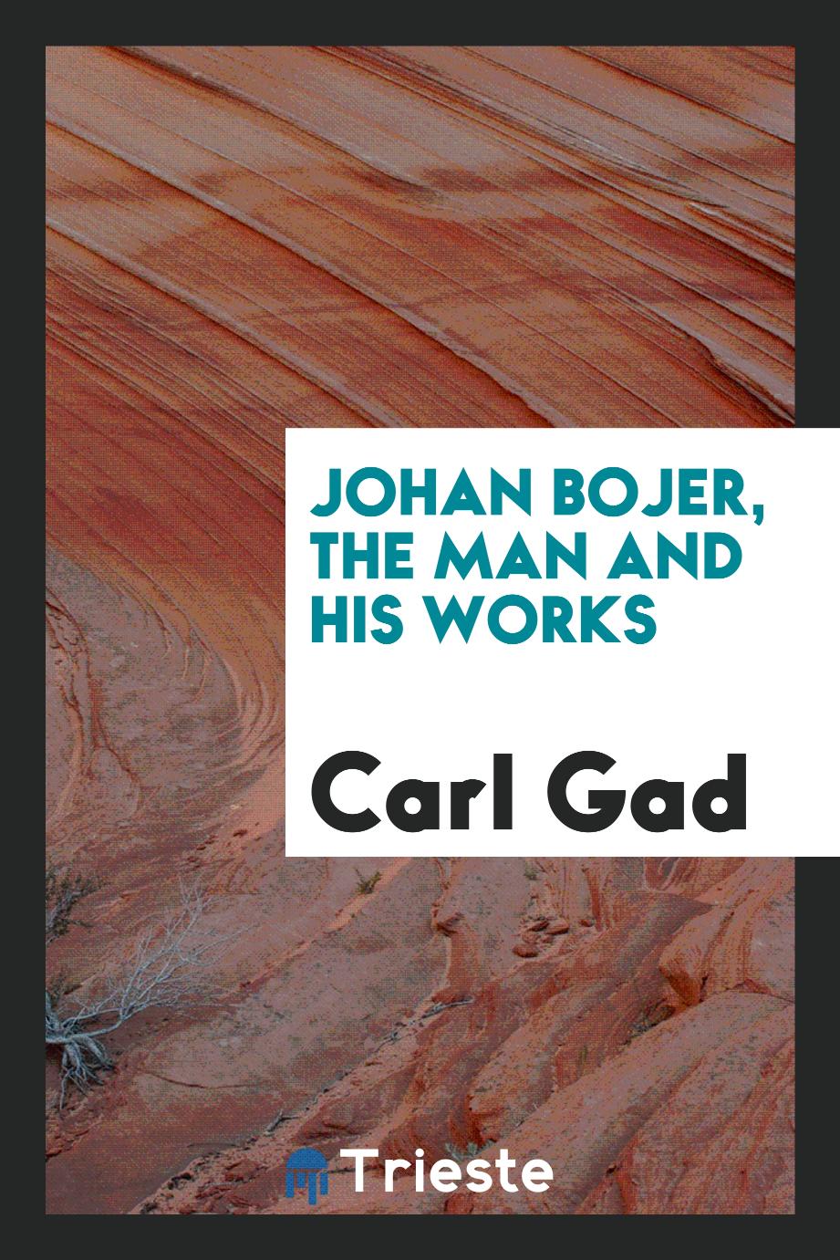 Johan Bojer, the man and his works