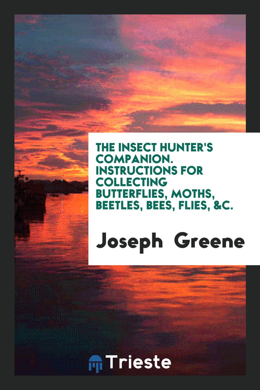 The Insect Hunter's Companion. Instructions for Collecting Butterflies, Moths, Beetles, Bees, Flies, &C.