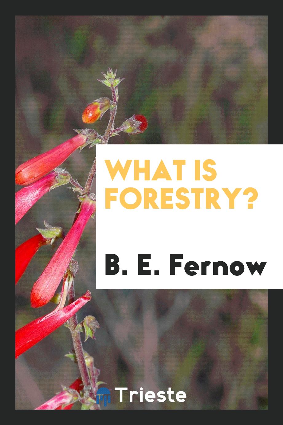 What is forestry?
