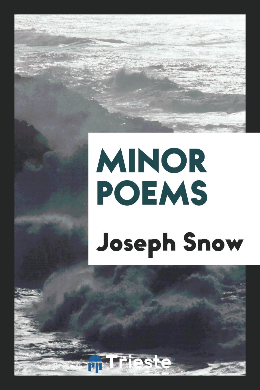 Minor Poems