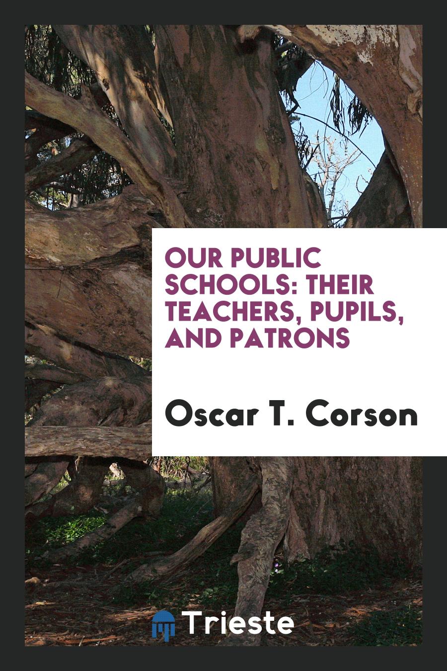 Our Public Schools: Their Teachers, Pupils, and Patrons