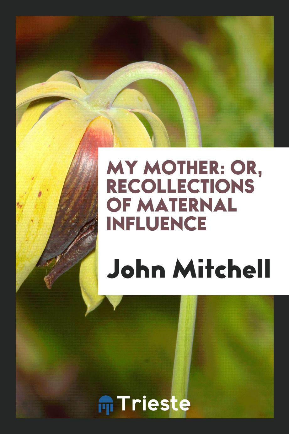 My mother: or, Recollections of maternal influence