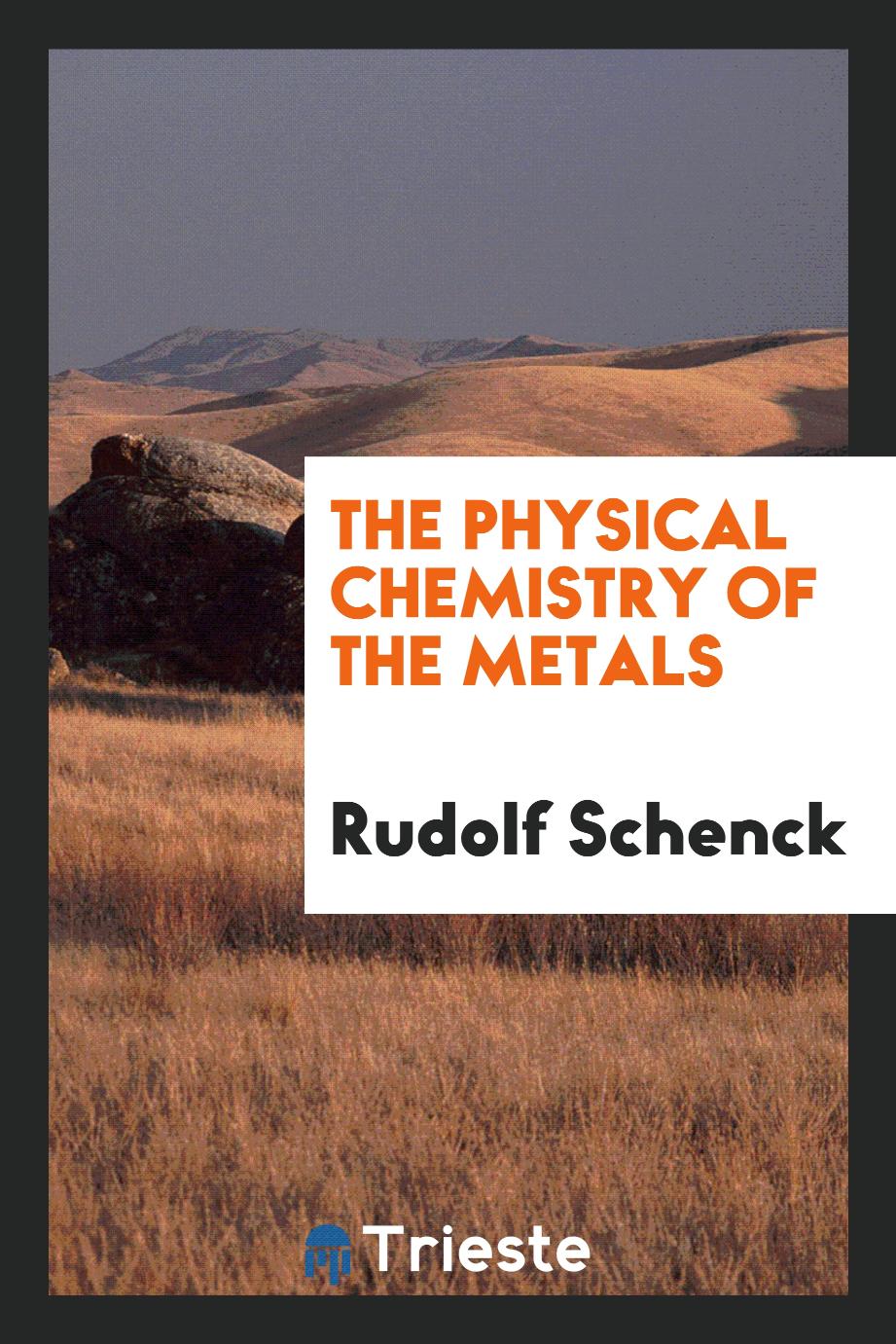 The physical chemistry of the metals