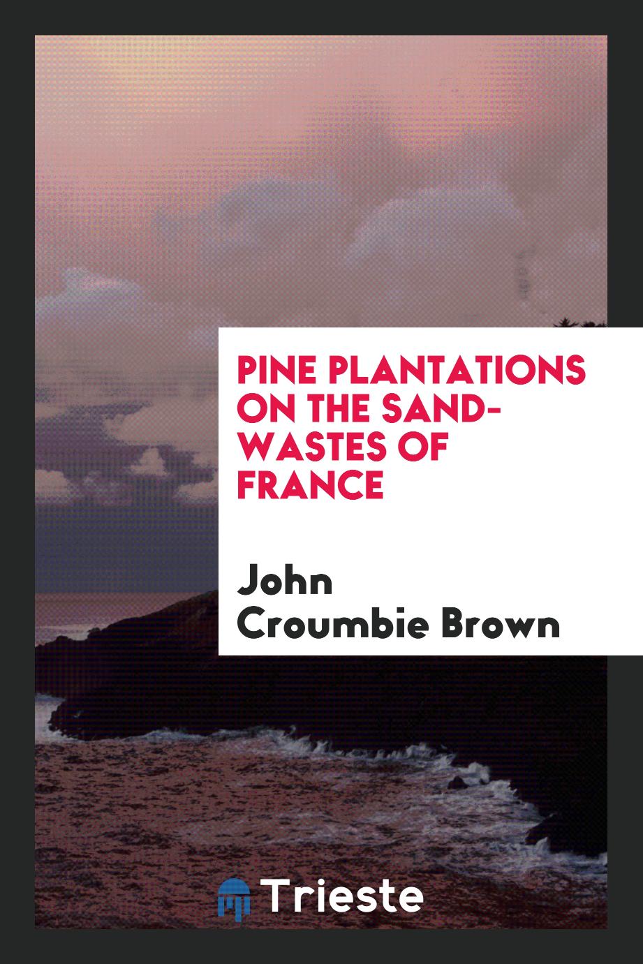 Pine Plantations on the Sand-Wastes of France