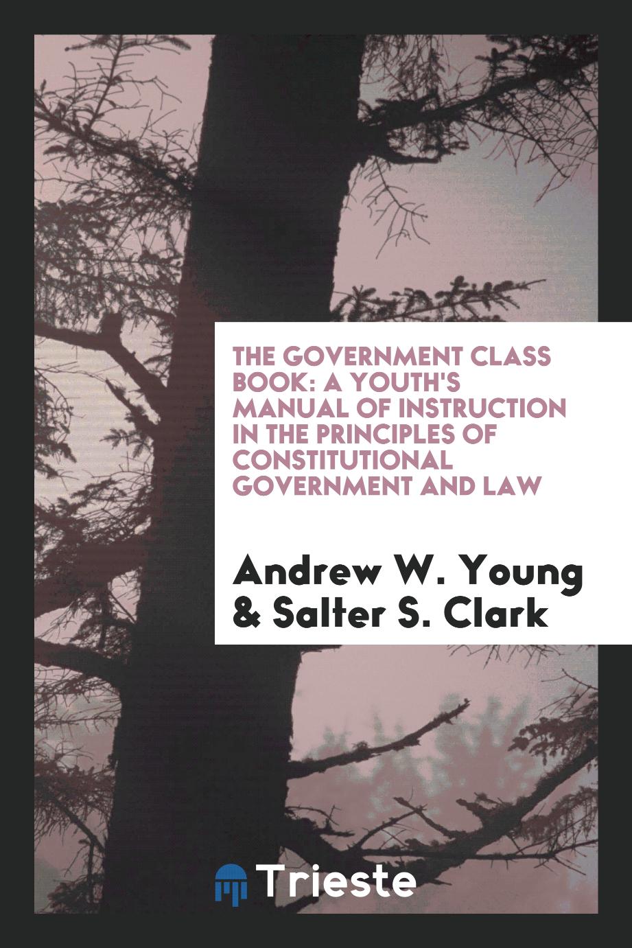 The government class book: a youth's manual of instruction in the principles of constitutional government and law