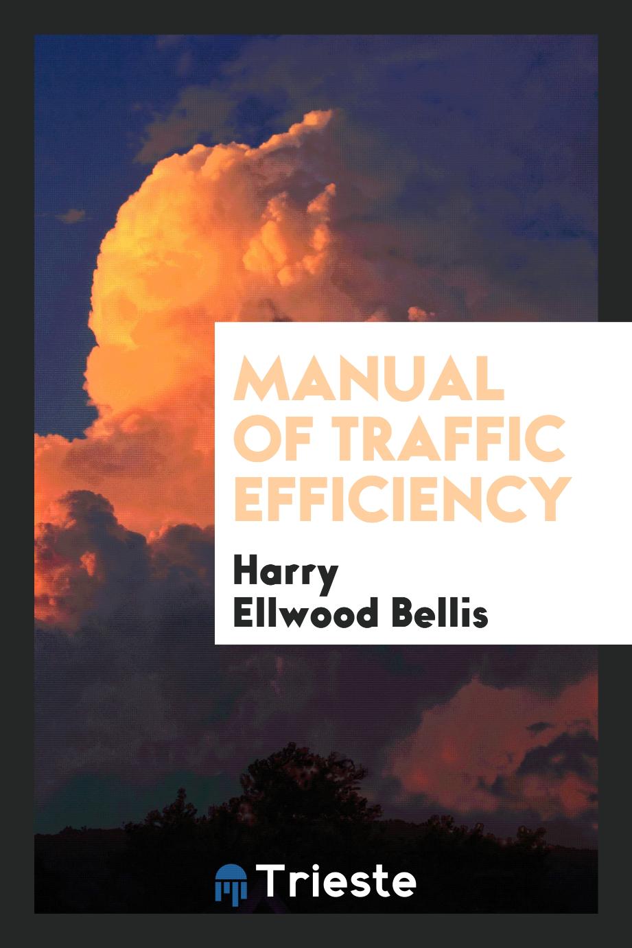 Manual of Traffic Efficiency