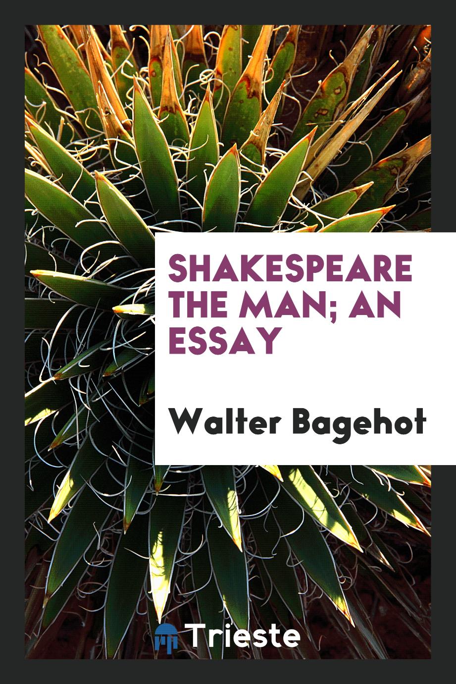 Shakespeare the man; an essay