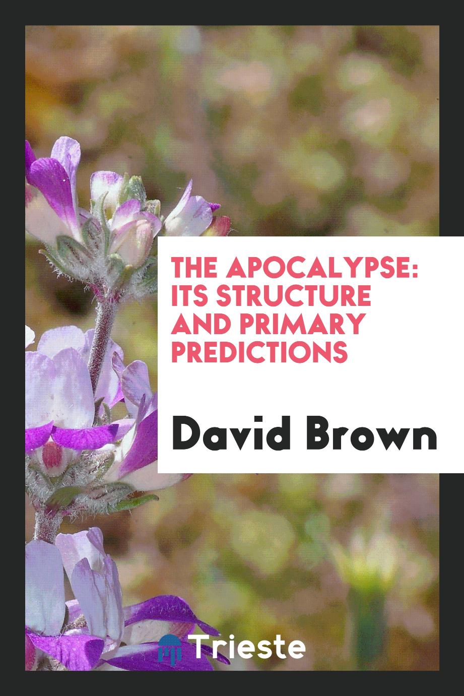 The Apocalypse: its structure and primary predictions