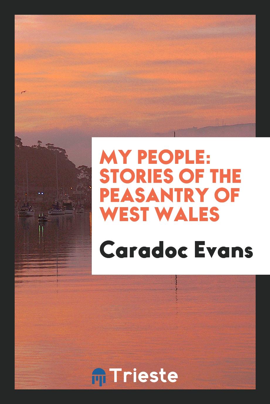 My people: stories of the peasantry of West Wales
