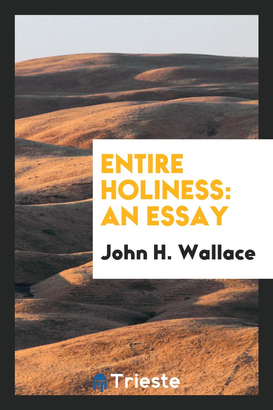 John H. Wallace - Entire Holiness: An Essay