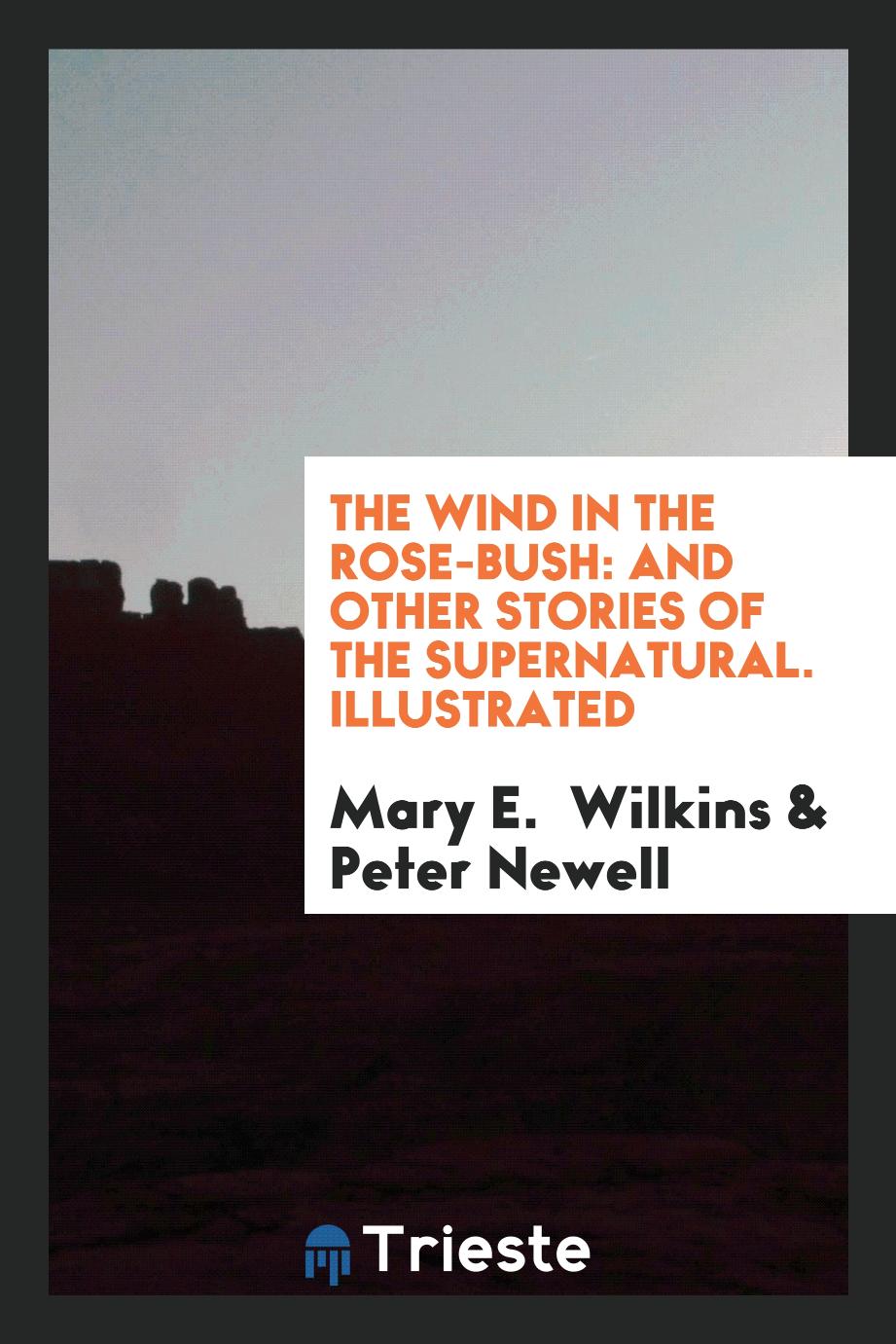 The Wind in the Rose-Bush: And Other Stories of the Supernatural. Illustrated