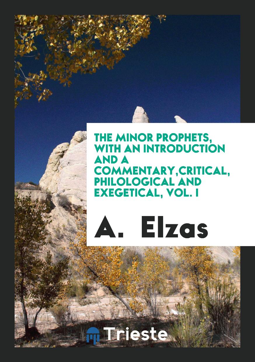 The Minor Prophets, with an Introduction and a Commentary,Critical, Philological and Exegetical, Vol. I