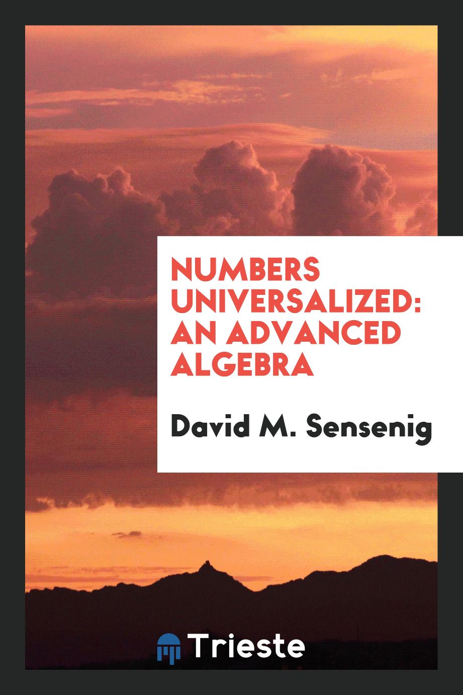 Numbers universalized: an advanced algebra