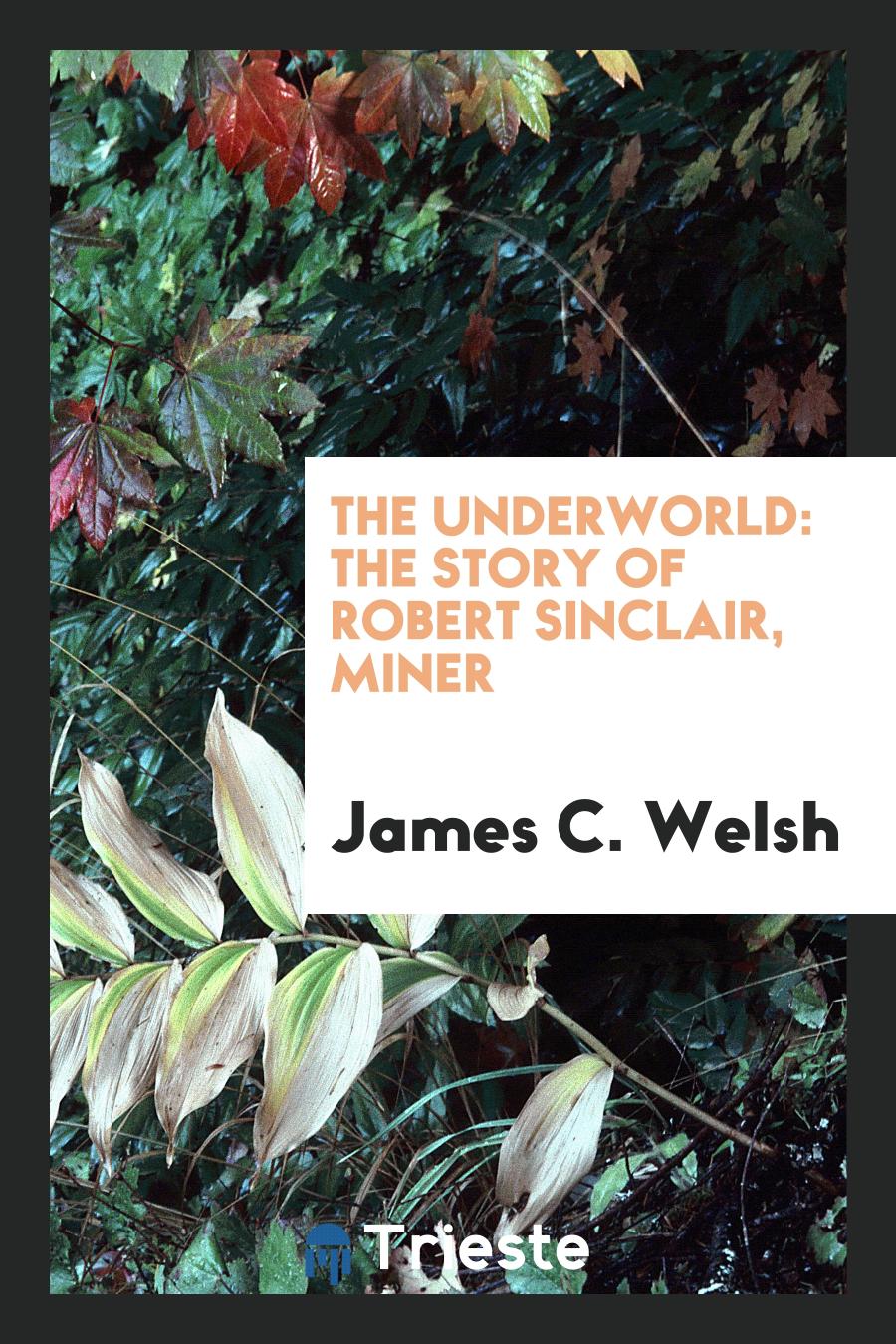 The Underworld: The Story of Robert Sinclair, Miner