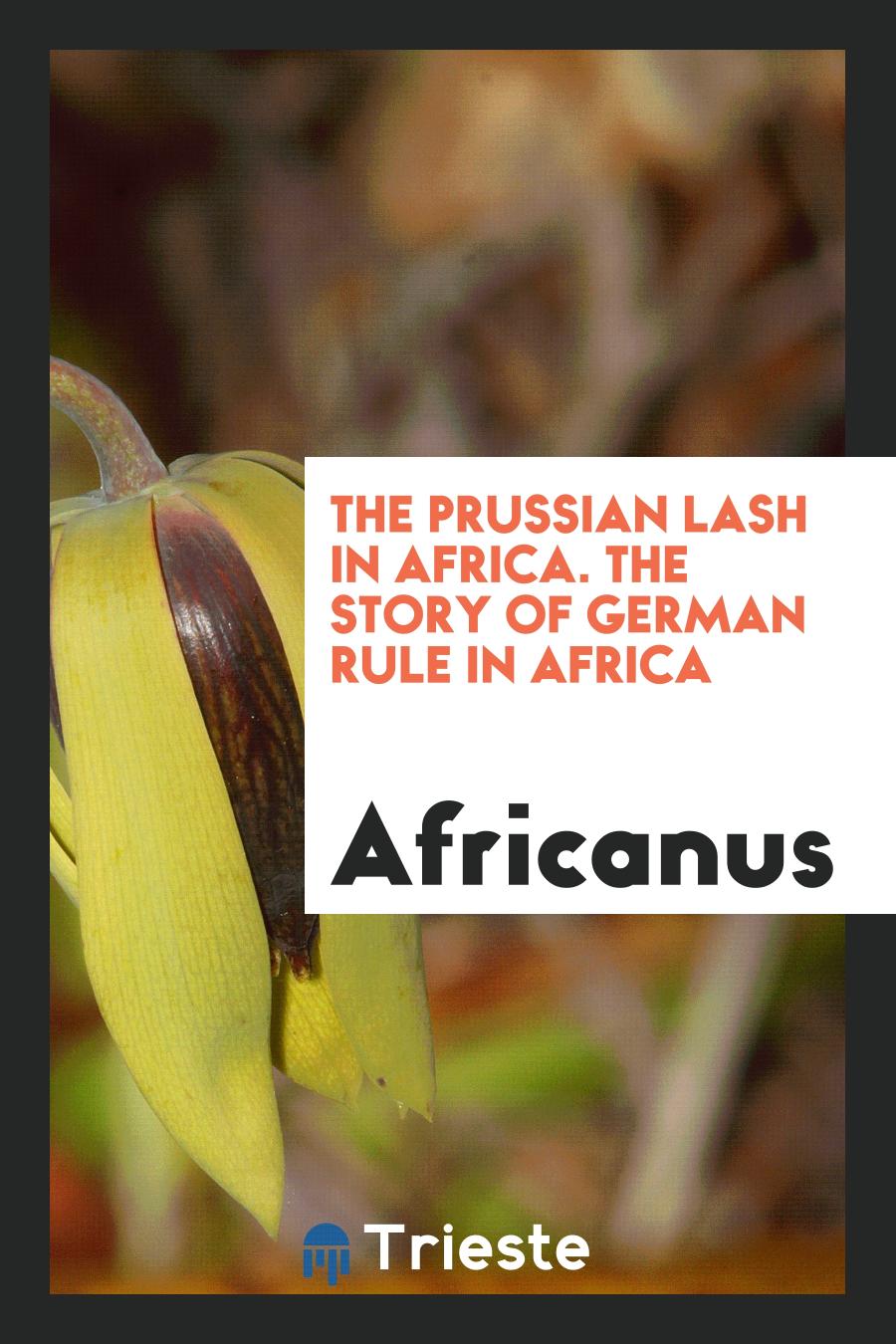 The Prussian Lash in Africa. The Story of German Rule in Africa