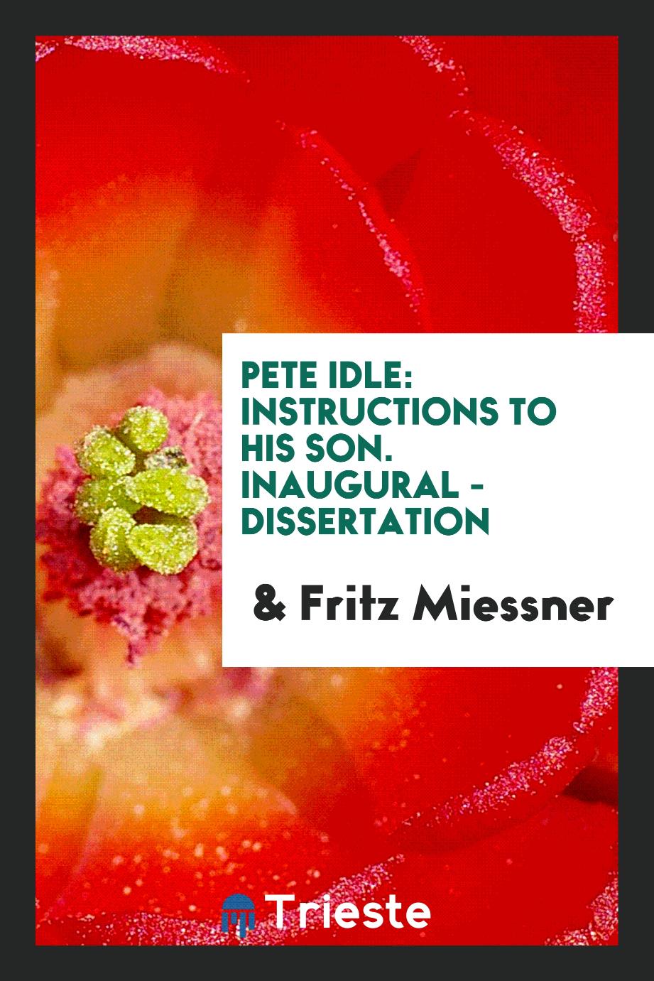 Pete Idle: Instructions to his son. Inaugural - Dissertation