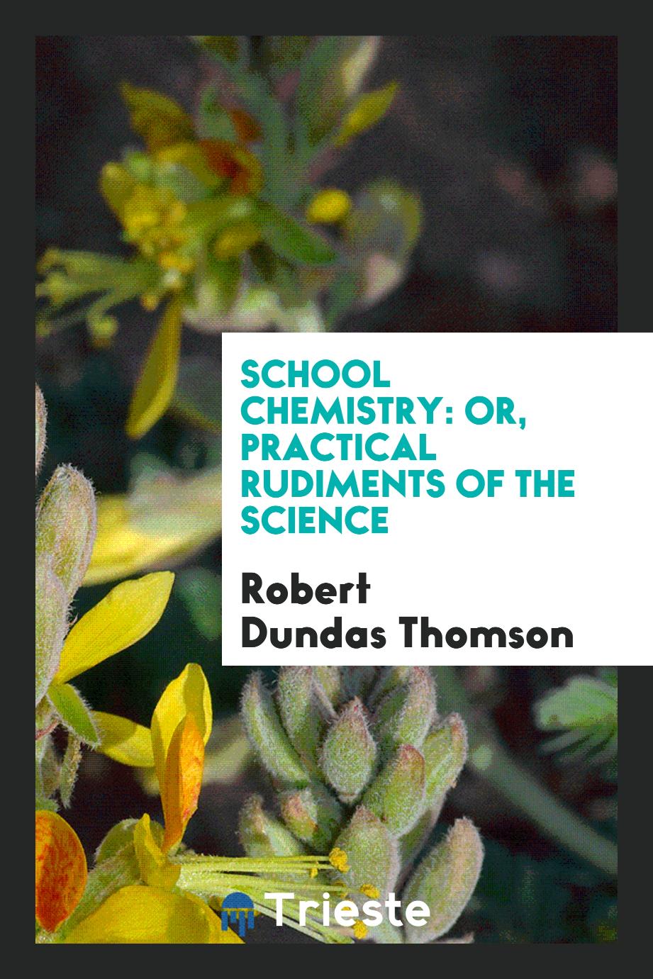 School Chemistry: Or, Practical Rudiments of the Science