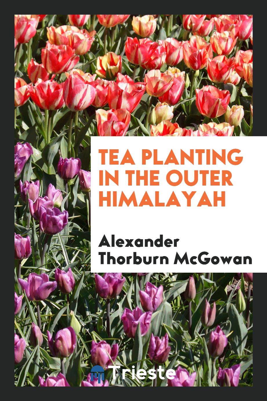 Tea planting in the outer Himalayah