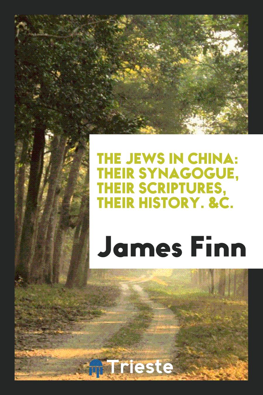 The Jews in China: Their Synagogue, Their Scriptures, Their History. &c.