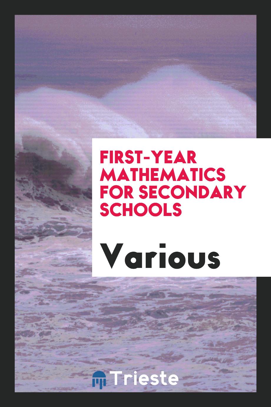 First-year mathematics for secondary schools